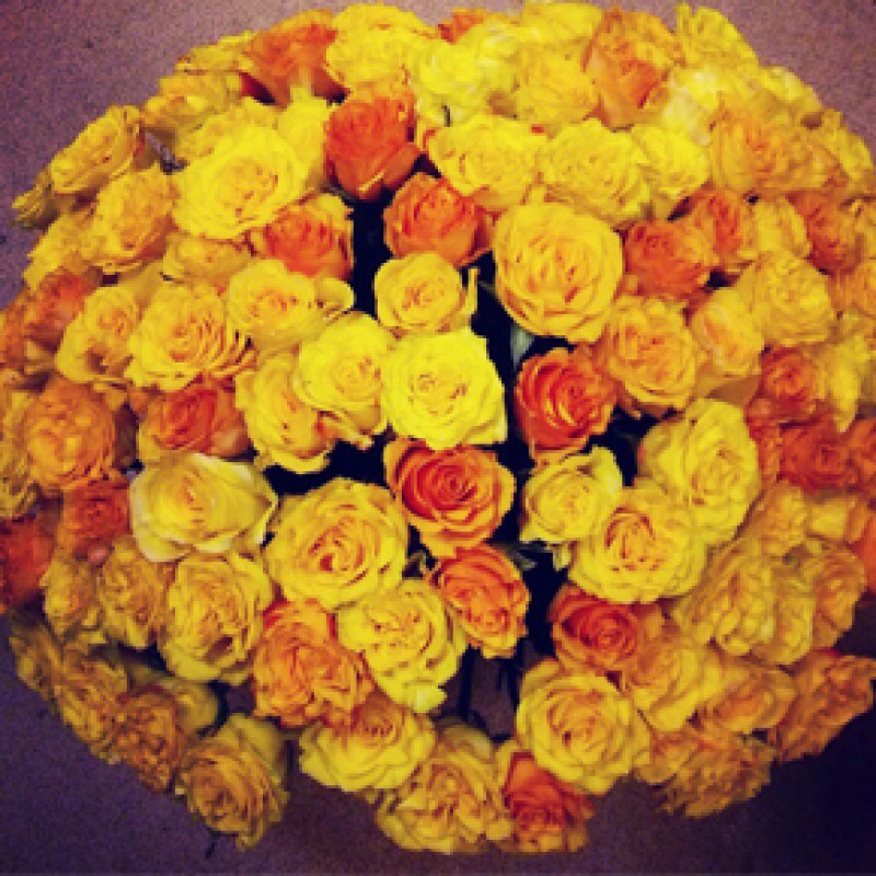 Букет желтых роз Эквадор 101 штука 40 см