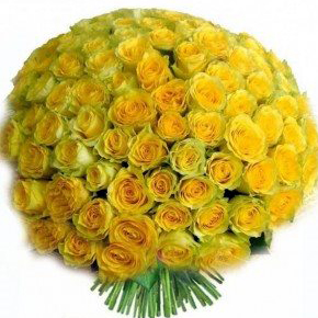 Букет желтых роз Эквадор 101 штука 50 см