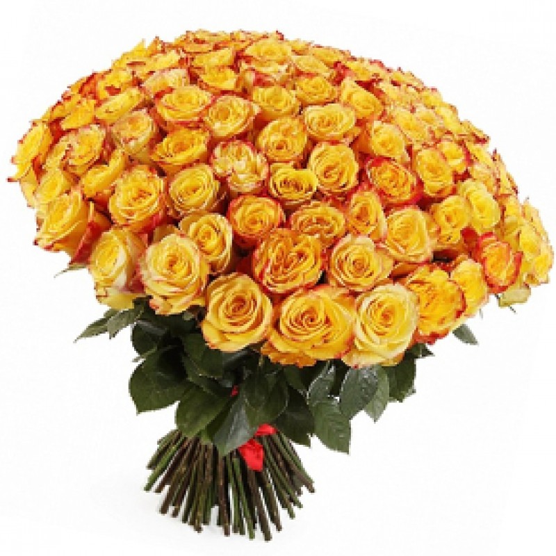 Букет желтых роз Эквадор 101 штука 60 см