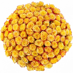 Букет желтых роз Эквадор 101 штука 80 см