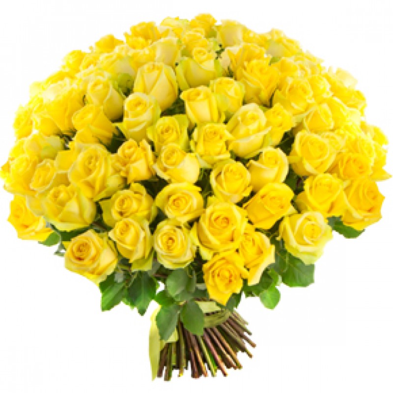 Букет желтых роз Эквадор 151 штука 50 см