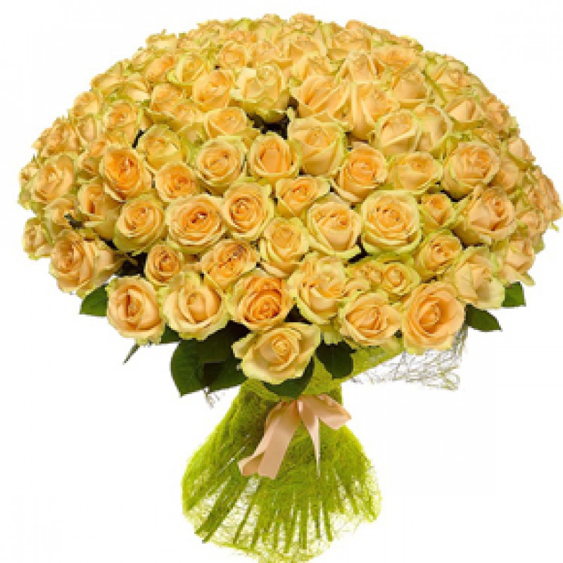 Букет желтых роз Эквадор 151 штука 80 см