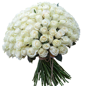 Букет белых роз Эквадор 101 штука 70 см