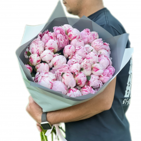 Розовые пионы 35 Сара Бернар Голландия