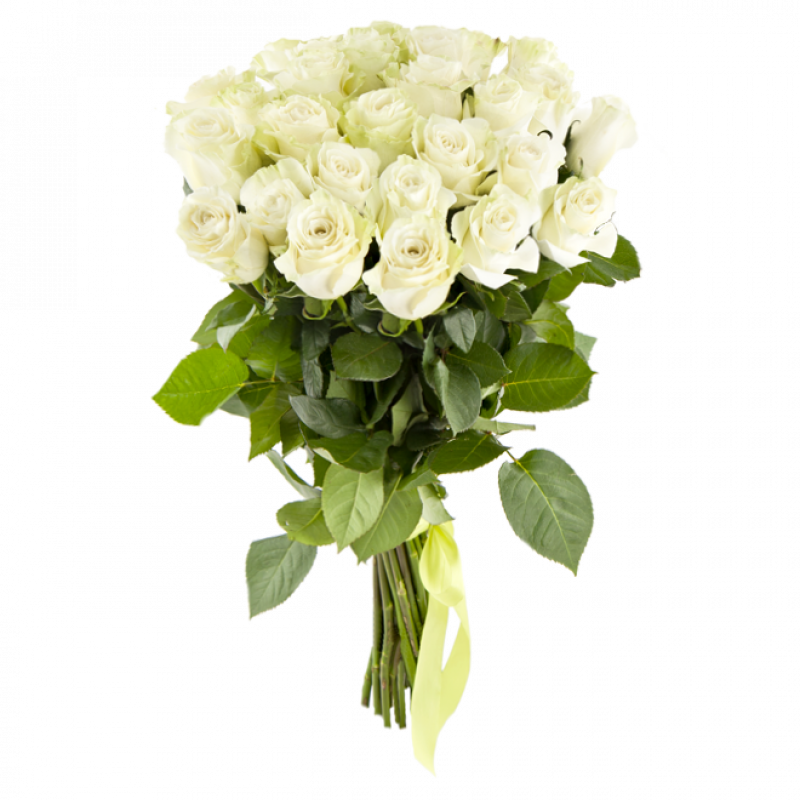 Букет белых роз Эквадор 25 штук 60 см