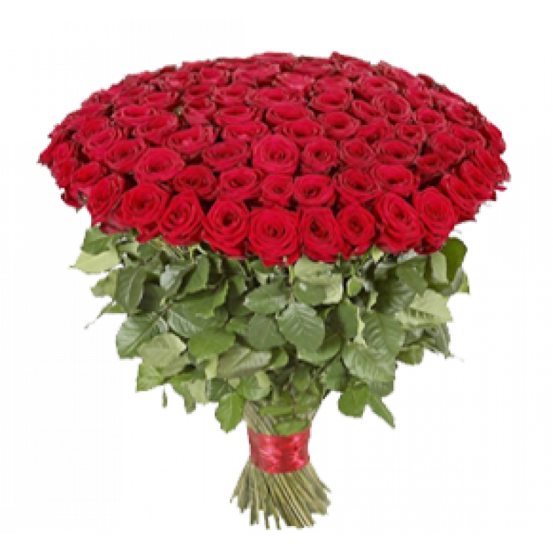 Букет красных роз Эквадор 101 штука 40 см