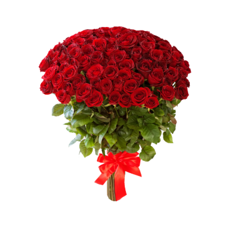 Букет красных роз Эквадор 101 штука 50 см