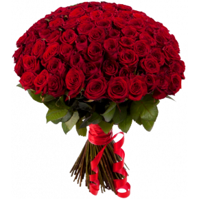 Букет красных роз Эквадор 101 штука 60 см