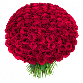 Букет красных роз Эквадор 151 штука 60 см