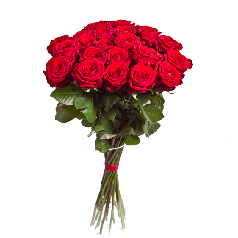 Букет красных роз Эквадор 25 штук 50 см
