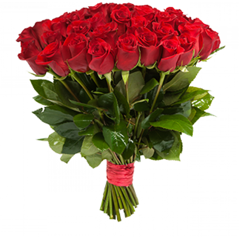 Букет красных роз Эквадор 25 штук 60 см
