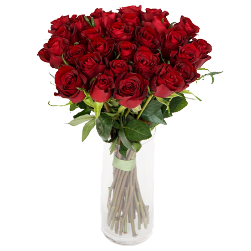 Букет красных роз Эквадор 51 штука 100 см