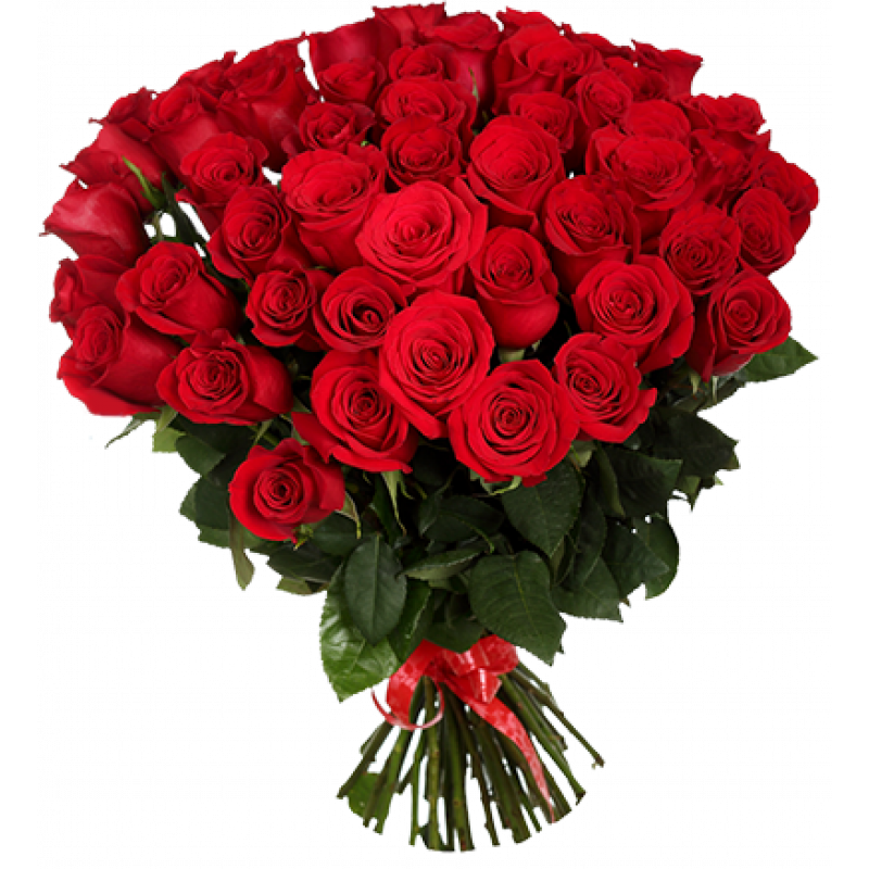 Букет красных роз Эквадор 51 штука 50 см 