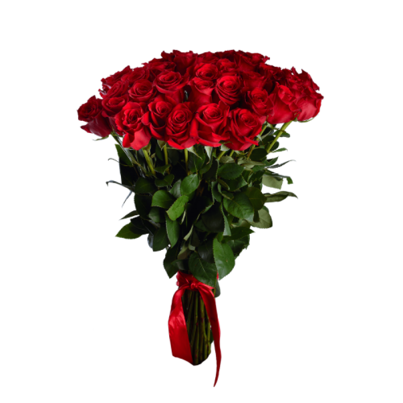 Букет красных роз Эквадор 51 штука 90 см