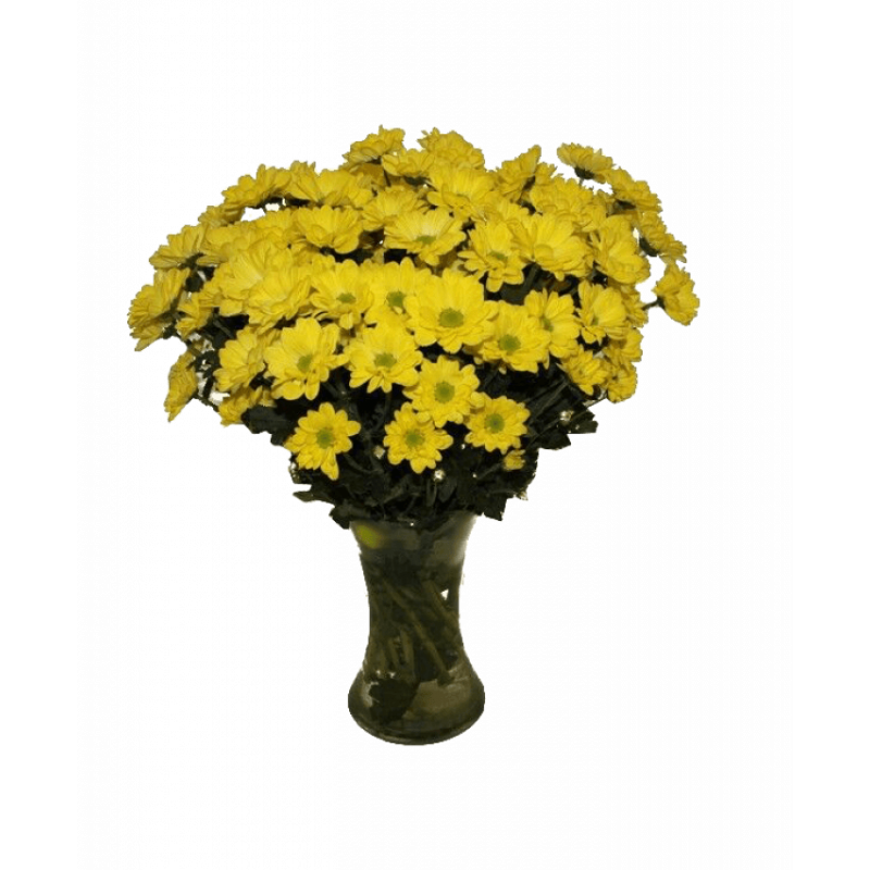Хризантемы желтые 25 штук