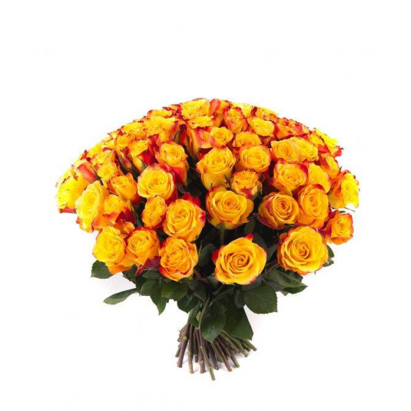 Букет желтых роз Эквадор 25 штук 100 см