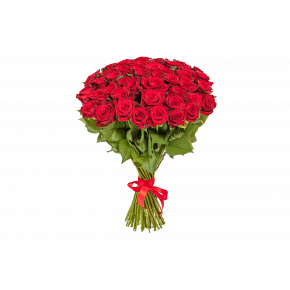 Букет из 25 красных роз Эквадор 100 см