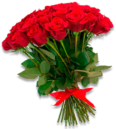 Букет из 25 красных роз эквадор 40 см